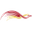 XpressAir XpressAir